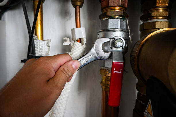 Best Sewer Line Repair  in , AL